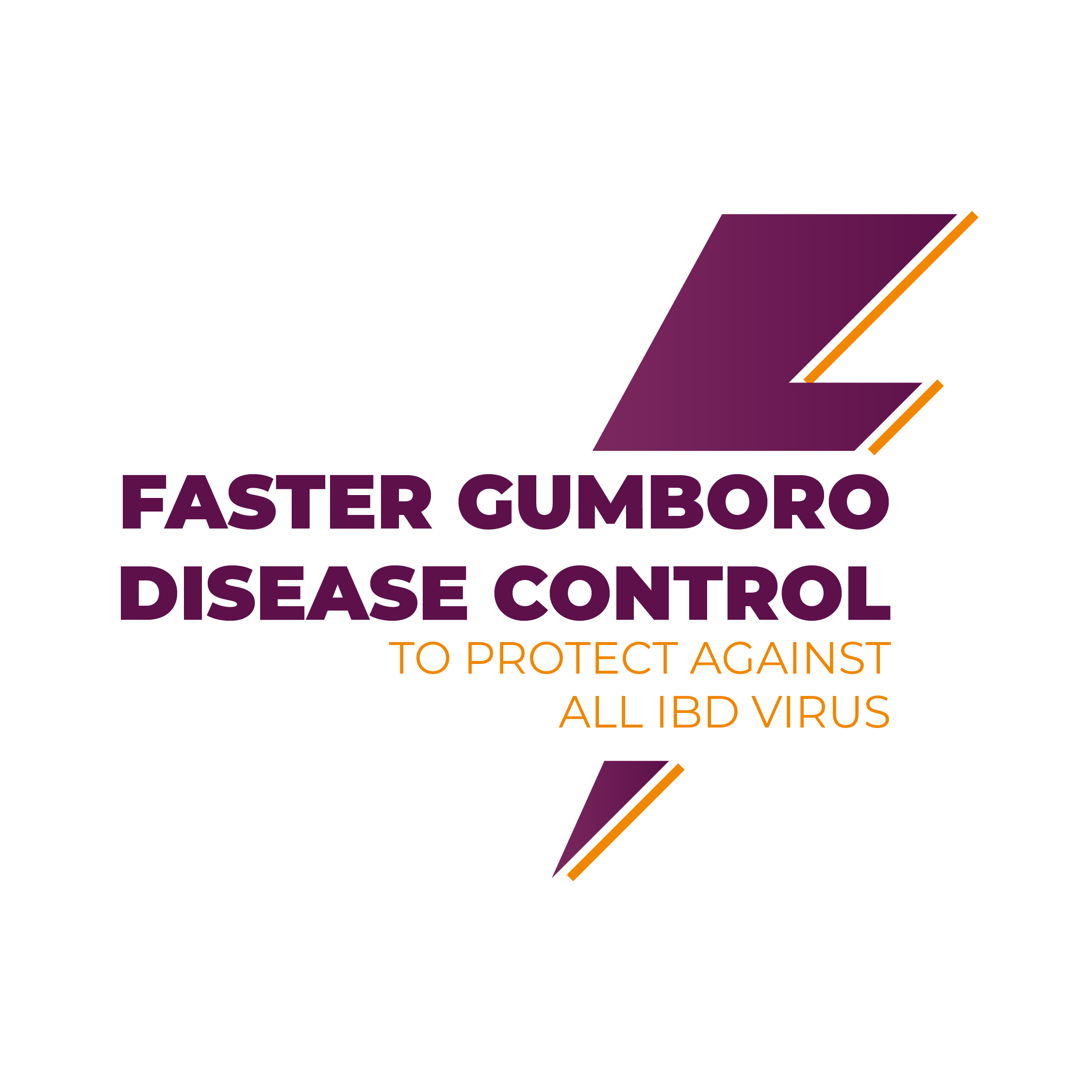 Faster Gumboro control_Nextmune_01