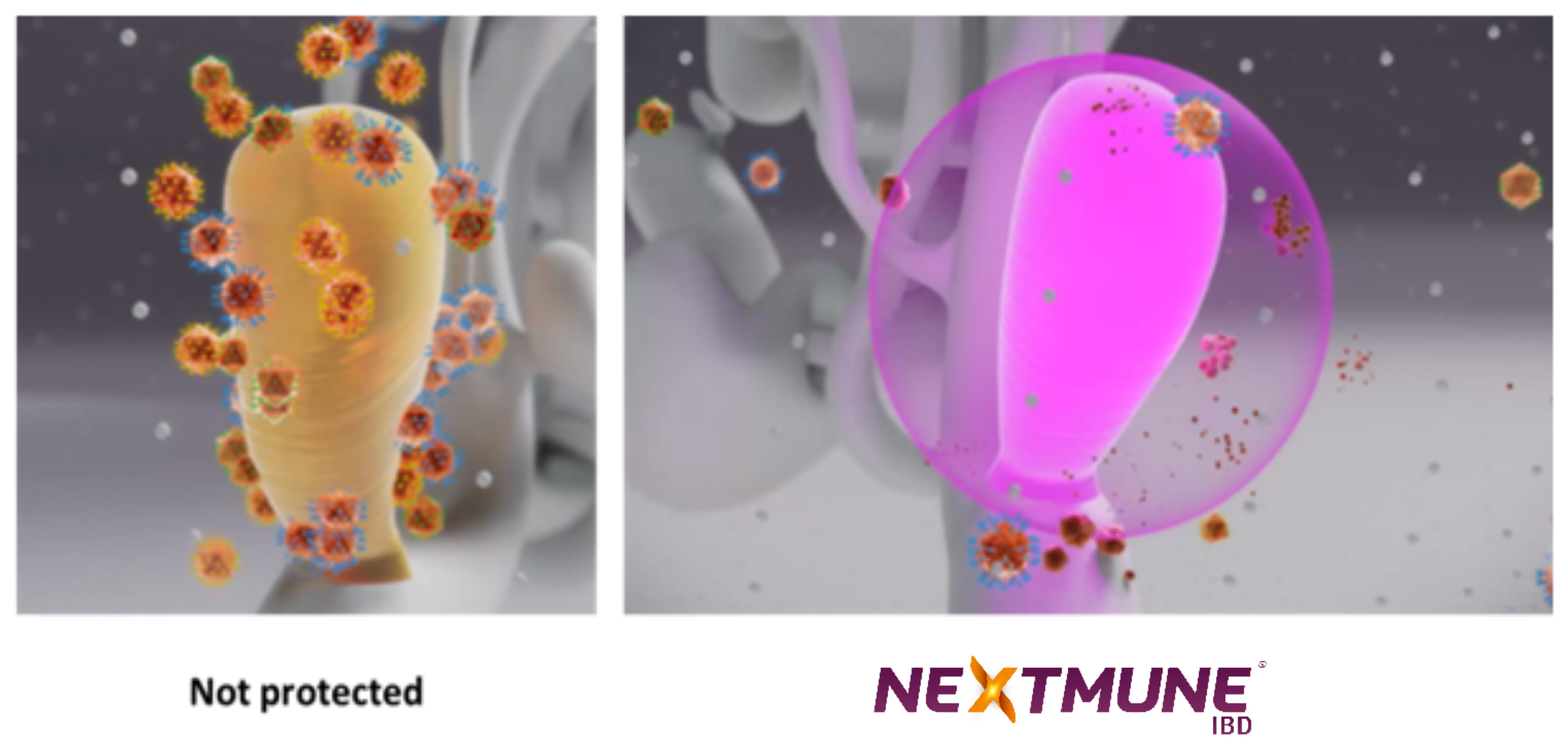 Bursa without protection vs Protected with Nextmune®